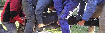 photo hygiene et securite